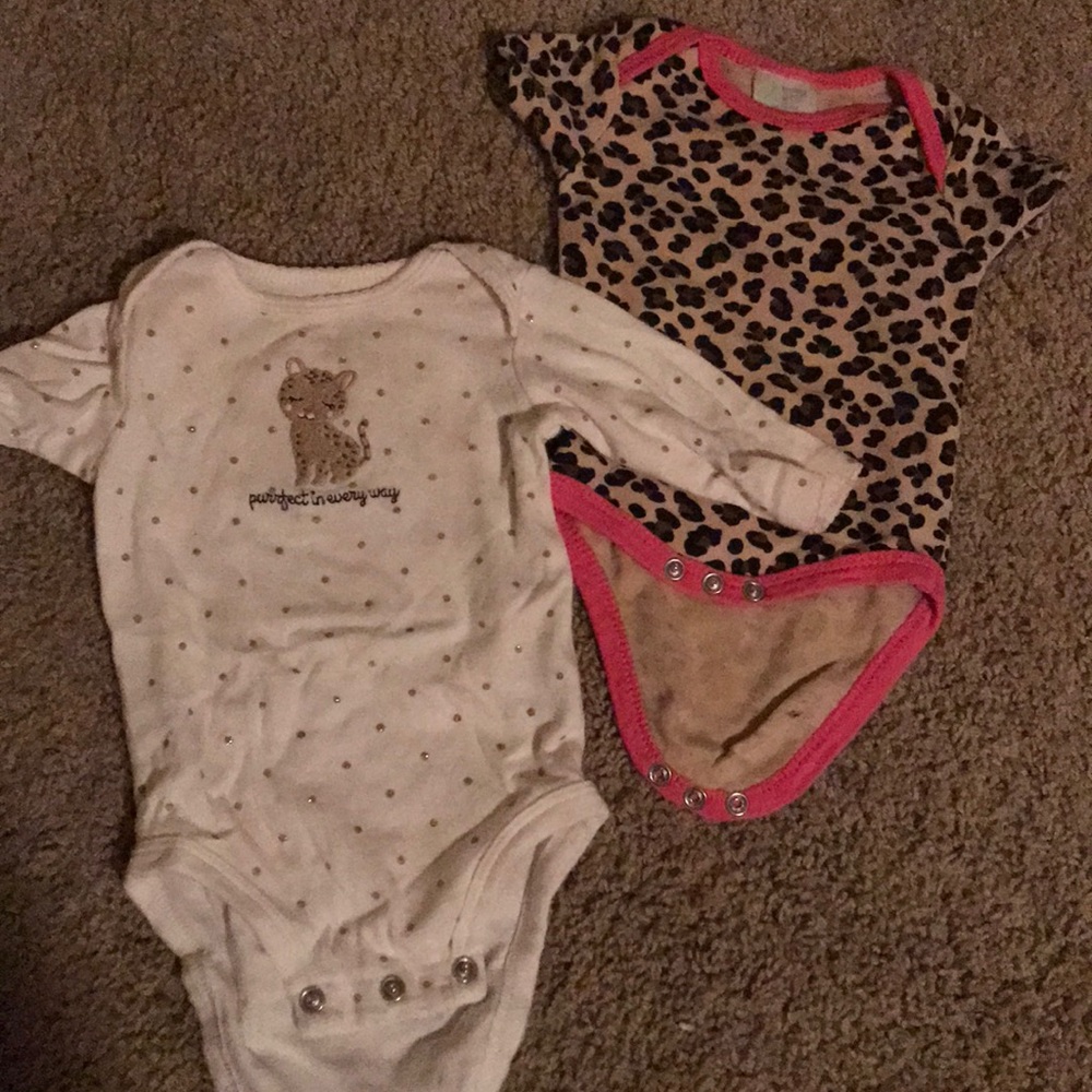 Kitty bundle